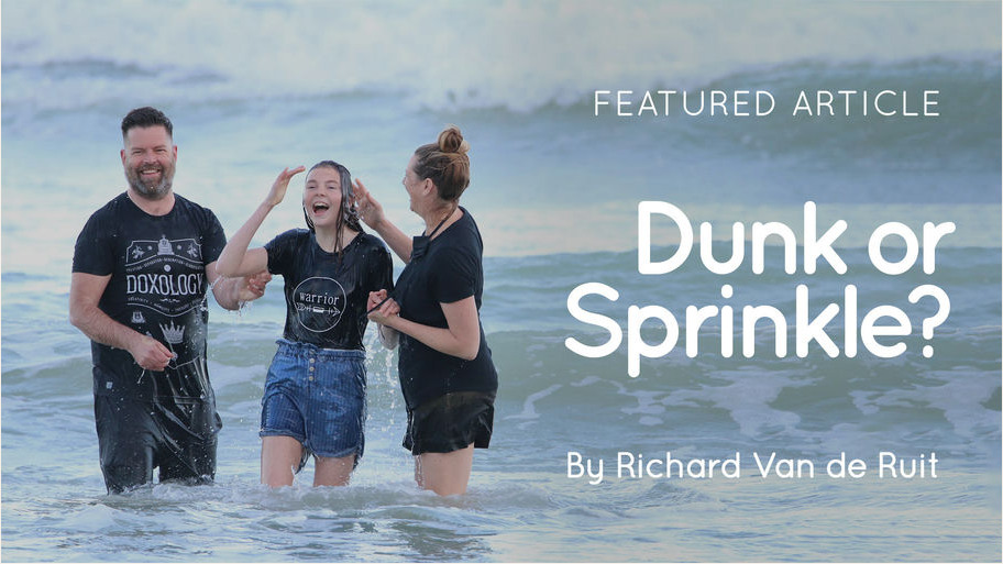 Dunk or Sprinkle article artwork