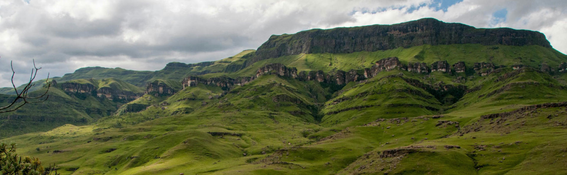 South Africa Regional