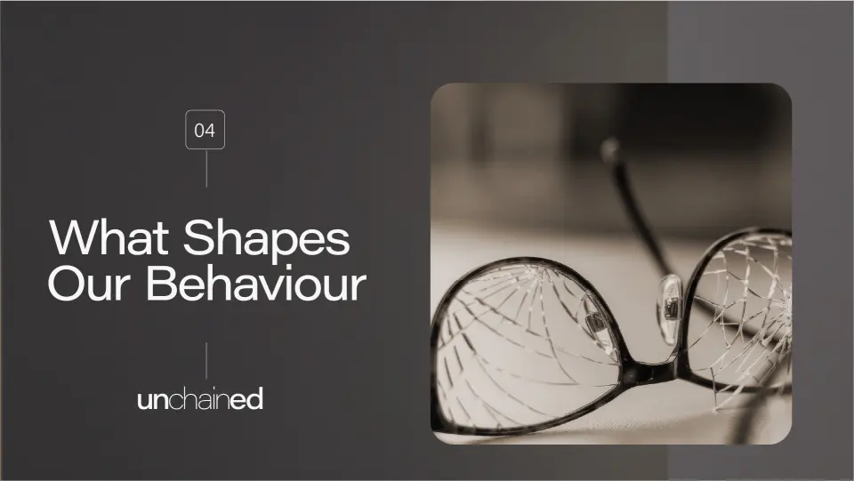 What shapes our behaviour