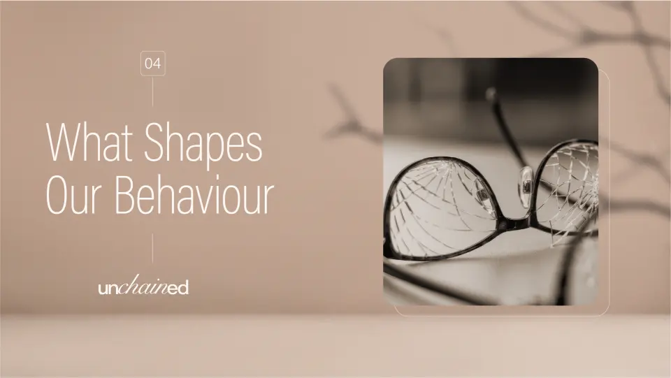 What shapes our behaviour