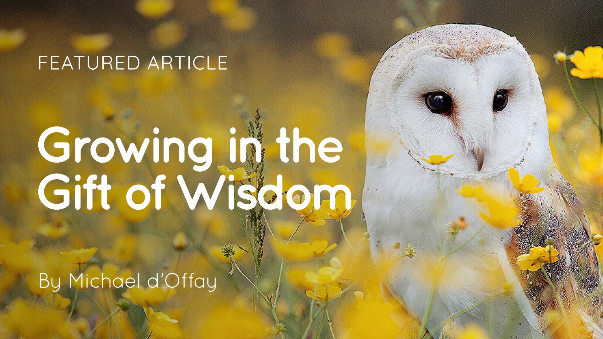 Growing in the Gift of Wisdom article thumbnail