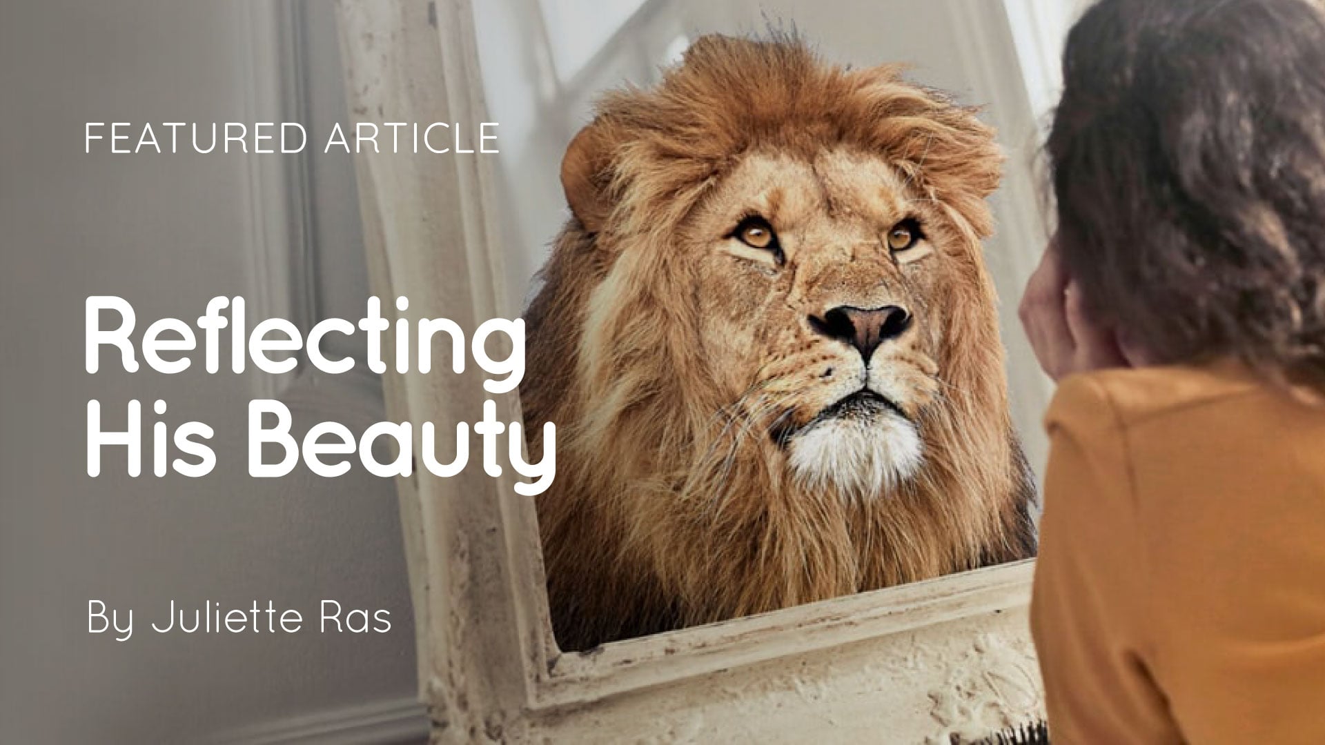 Reflecting His Beauty article artwork